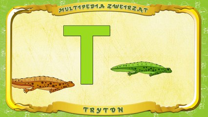 Multipedia Zwierząt. Litera T Tryton