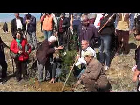 1 AĞAÇ DİKİMİ HAZIR