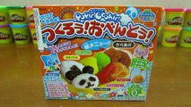 Kracie Popin Cookin Panda Shape Bento Candy! Tsukurou Obento DIY Candy Making Kit!