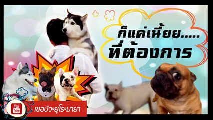 เชอบัว ยูโร มายา ตอนที่ 58  ก็แค่เนี้ยย.....ที่ต้องการ