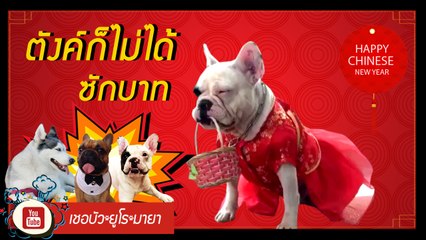 เชอบัว ยูโร มายา ตอนที่ 56 ตังค์ก็ไม่ได้ซักบาท..!!!