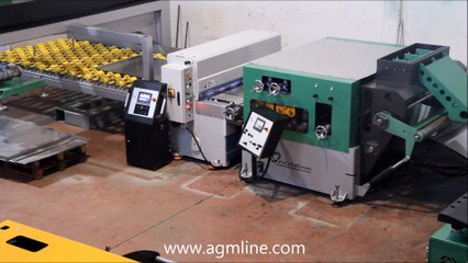 Steel Cut to Length Line Stainless Steel AGMline Paslanmaz Rulo Boy Kesme Hattı