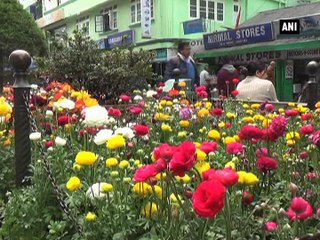 Gangtok cleanest city in Northeastern India