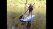 Why You Shouldn not Take Your Dog Paddle Boarding