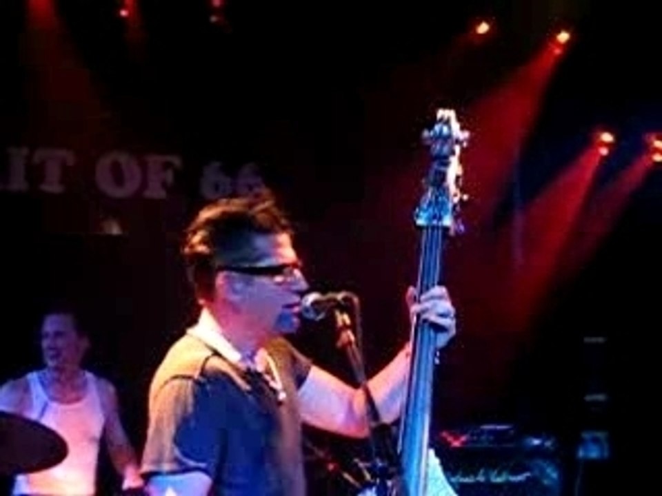 Lee rocker spirit of 66 stray cats strut