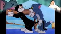 tom ve jerry hakkında bilinmeyenler ve final bölümü