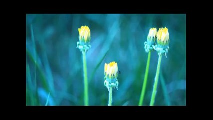 Direct MBBS Admission Ukraine