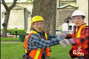 Relax Daily_Falling Tree