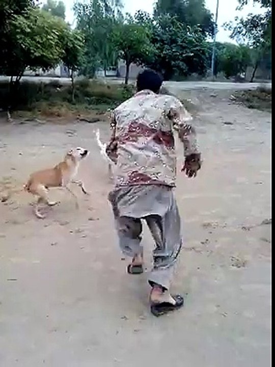 funny video esa kis kis ky sath howa