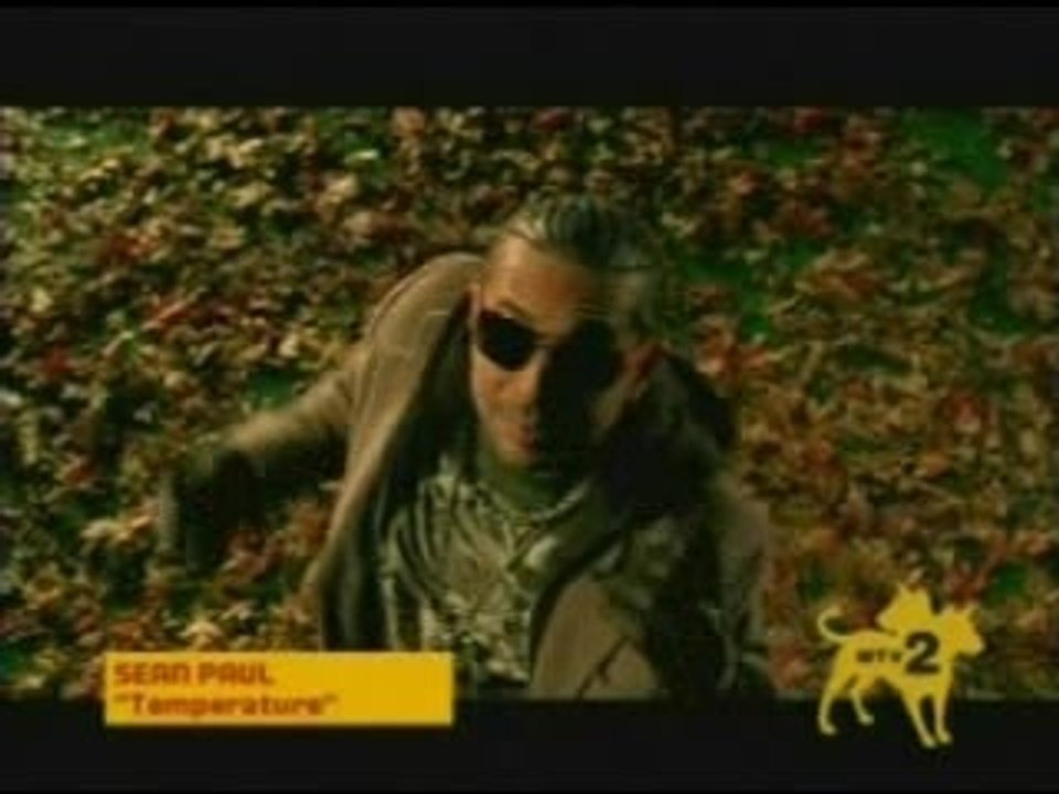 Sean Paul - Temperature-Breakout