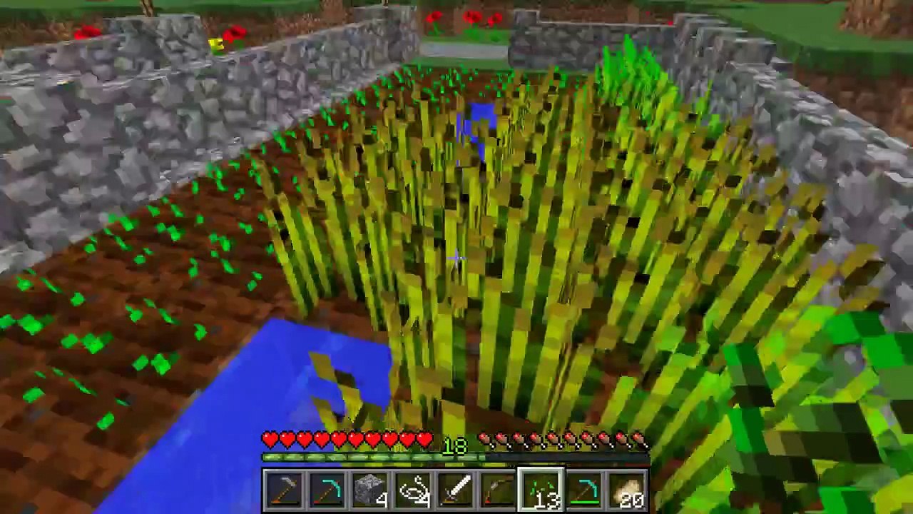 Play Minecraft 1