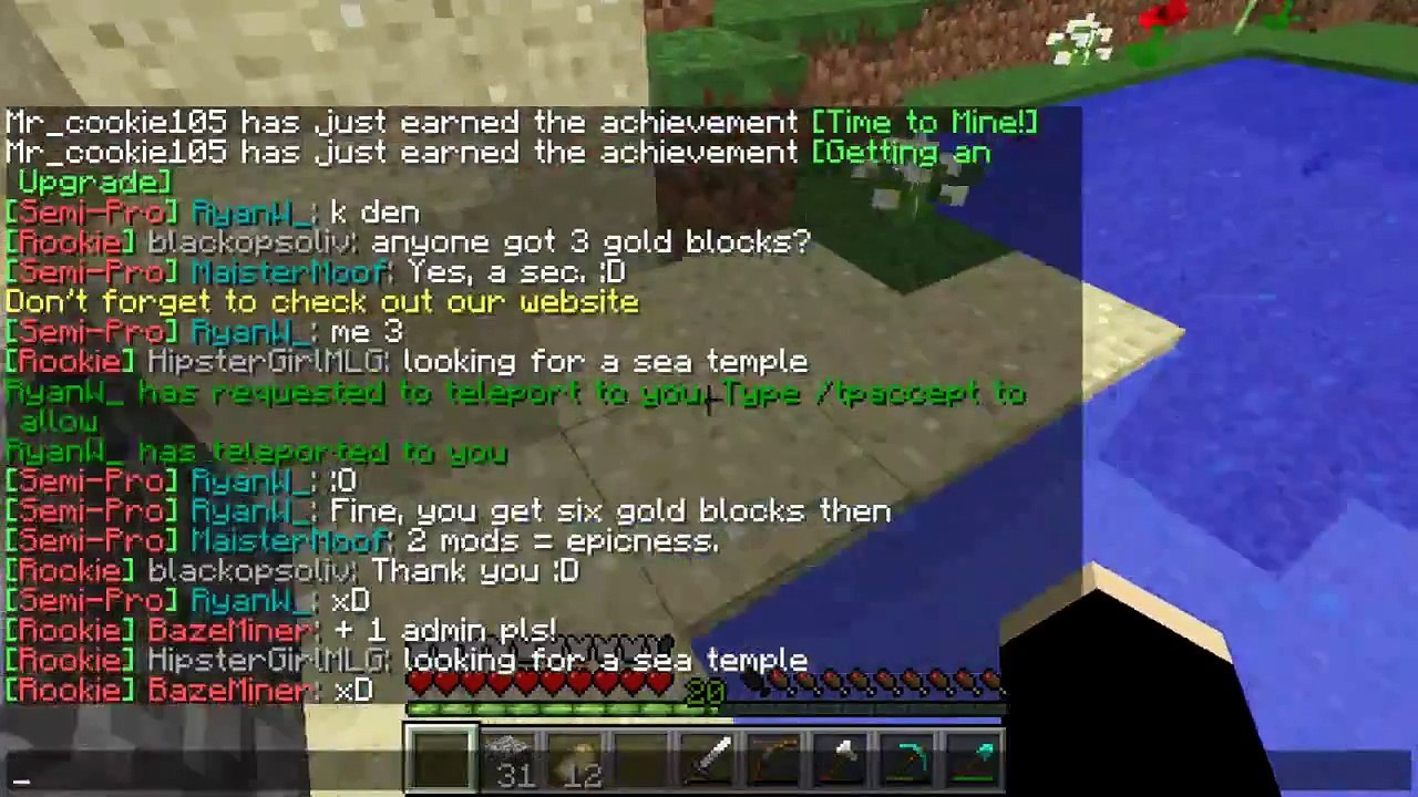 Play Minecraft 9