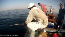 Salt Water Fishing Taru 28 Feb 2016