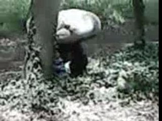 Yan qui fait caca ds la foret lol