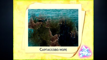 Изучаем моря и океаны. Развивающий ролик для детей дошкольного возраста