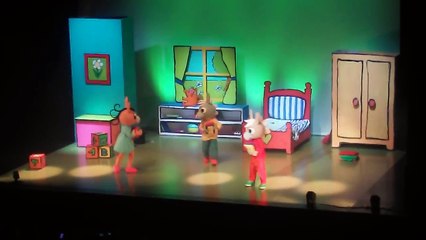 lâne trotro fait son cirque le spectacle