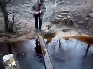 НАД КОТОМ СМЕЯЛАСЬ ДОЛГО)))