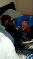 Он сильно скучал по уехавшему другу. Когда мальчик вернулся, радости кота не был