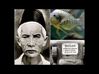 Penemu Indonesia yang Terlupakan, Jasanya Antar Ikan Mujair Mendunia