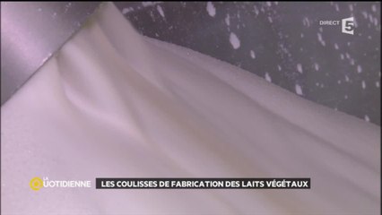 Les coulisses de fabrication des laits végétaux