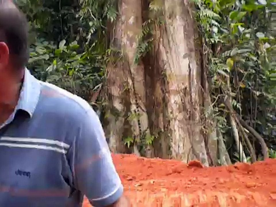 La teoria della suocera secondo il turco