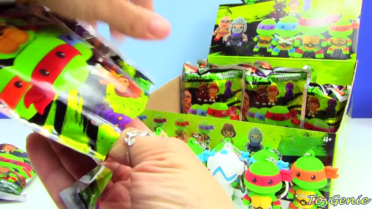 Teenage Mutant Ninja Turtles Collectors Keyrings