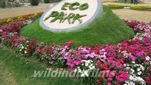 Eco tourism park at New Town-Rajarhat In Kolkata, West Bengal (ECO PARK)