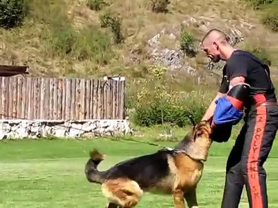 Jerry /Jawir z Lintichu/