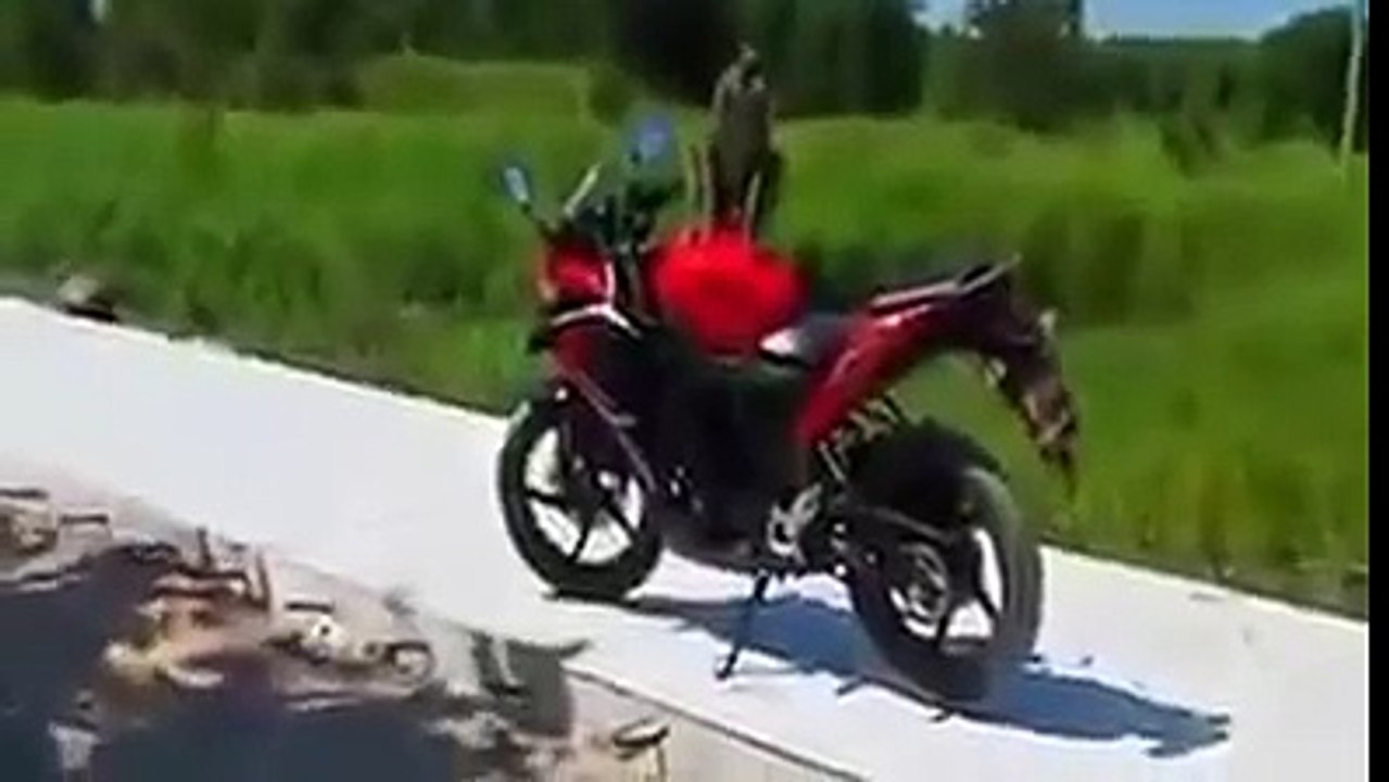 Best Street Fight #29