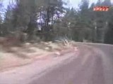 RALLYE Wrc 2003