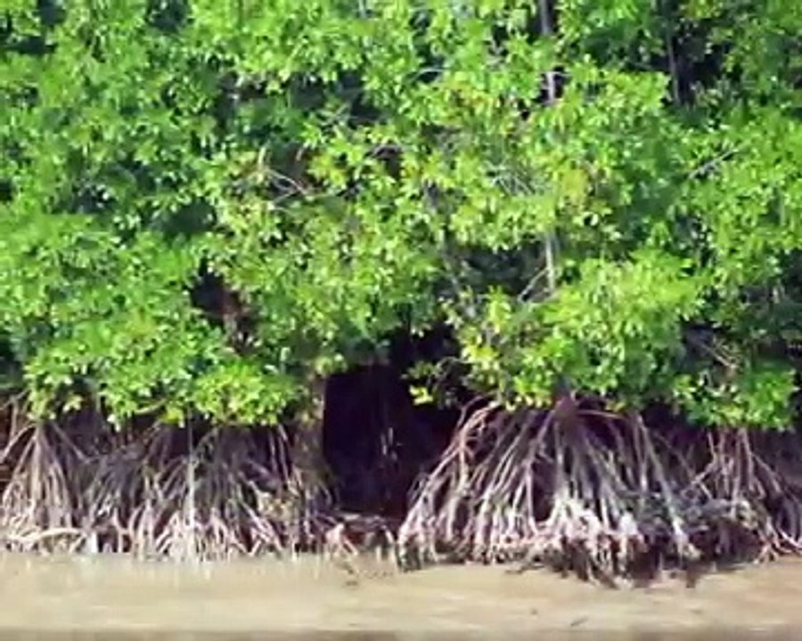 Méquin Express dans le Sud de la Thailande.mp4