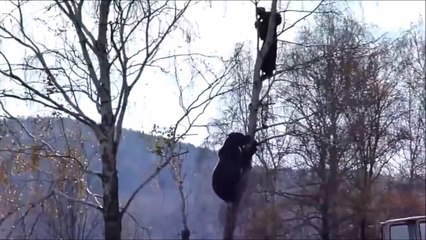 おそロシア怖ええええ！ベスト・オブ・クマとの遭遇集がアツすぎる