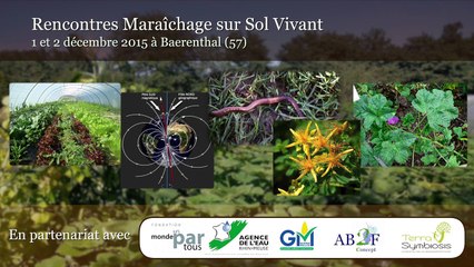 Agroforesterie et fertilité des sols
