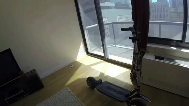 Custom Goped ESR 750H Electric scooter with 18650 cells