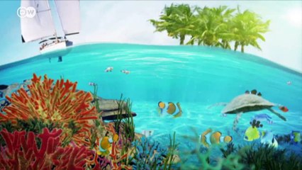 A safe village for turtles in India | Environment