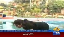 Vulgarity at its peak in a Live Pakistani Channel