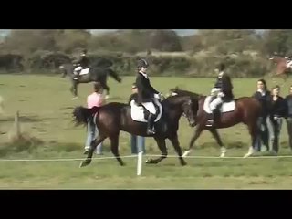 Theux Diabo Sarah - Dressage