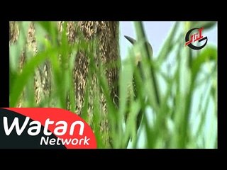 السلسلة الوثائقية حقائق قرآنية ـ الحلقة 16 السادسة عشر كاملة HD