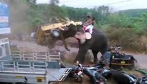 Pissed Off Elephant Destroys Several Vehicles In India
