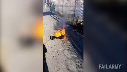 If you got this in your house, get it out!