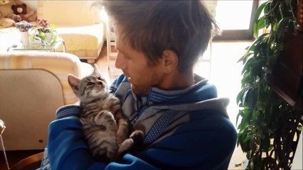 Cute kitten Lumpy gets a friend