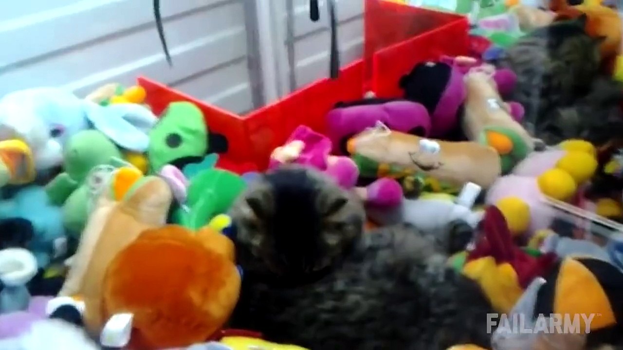 What a purfect prize!