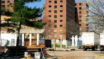 5 Internet Celebrities After They Got Famous