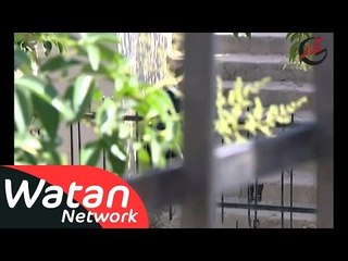 مسلسل قلوب صغيرة ـ الحلقة 24 الرابعة والعشرون كاملة HD