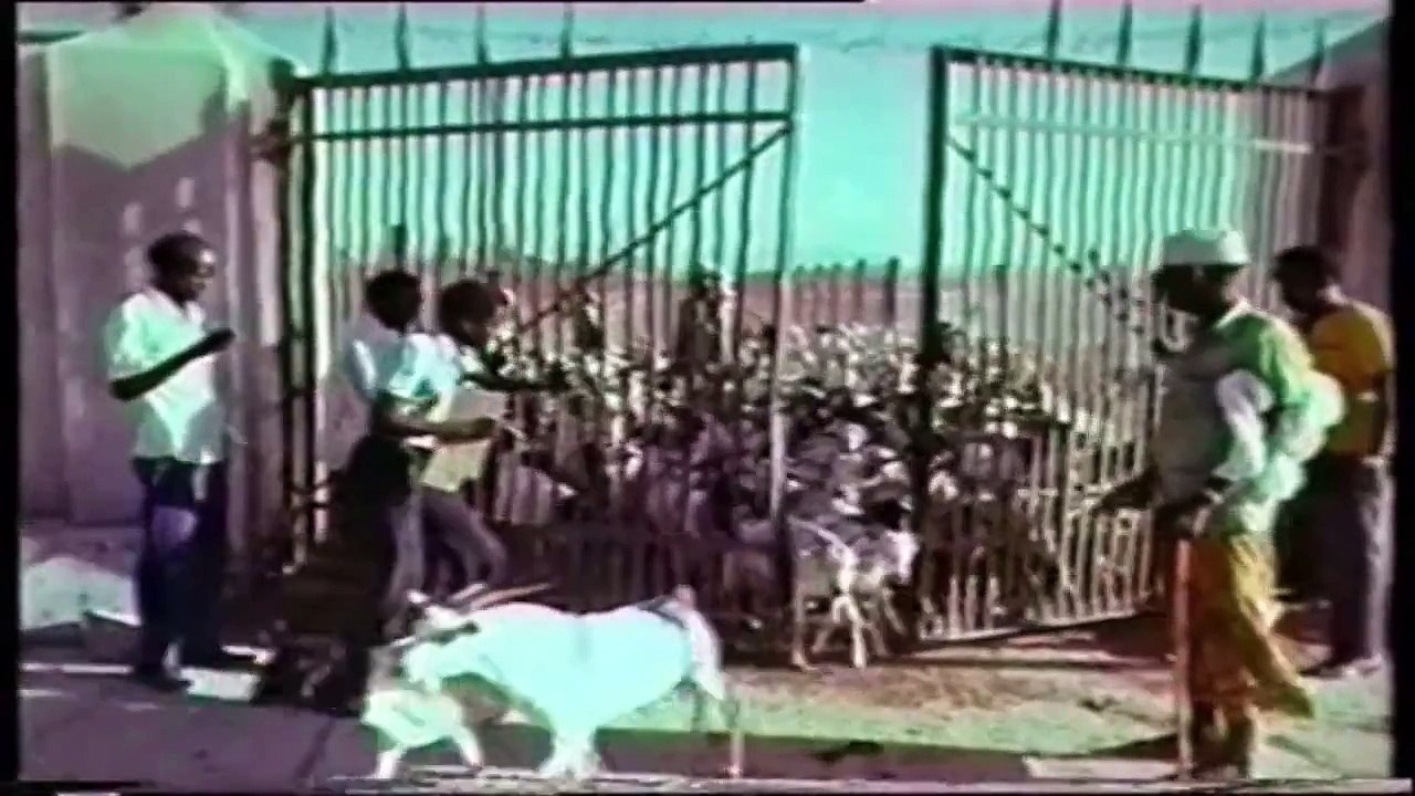 Somali Music Somaliyey War Hoo Song by ☆Jooqle, Amina Dhool, Kaltun and Hussein Shire☆