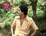 Paligu Manike | පළිඟු මැණිකේ | Sinhala Teledrama 02