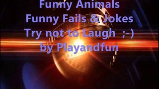 FUNNY ANIMALS VIDEOS FAILS & JOKES BEST OF TRY NOT TO LAUGH ;-)