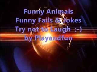 FUNNY ANIMALS VIDEOS FAILS & JOKES BEST OF TRY NOT TO LAUGH ;-)