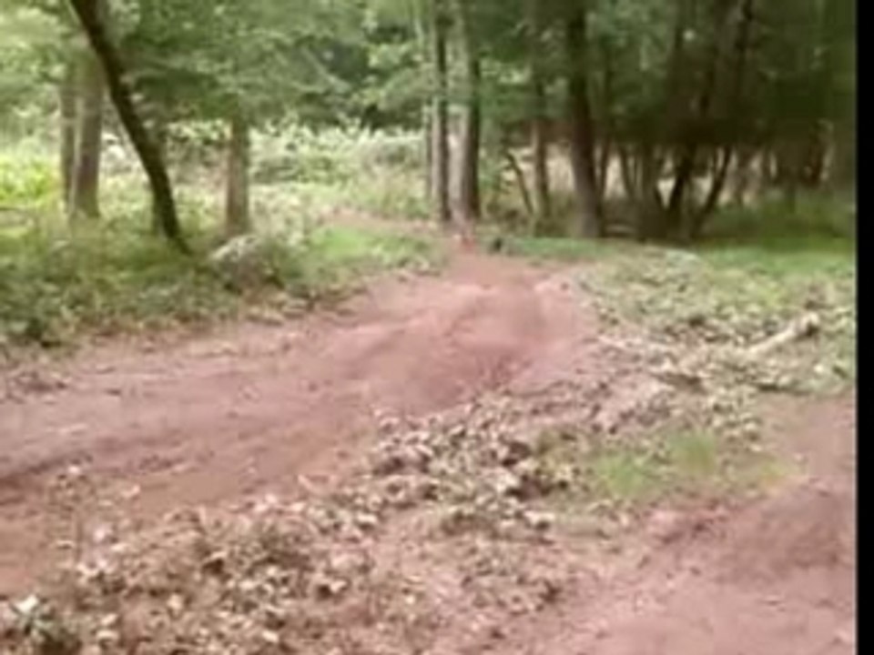 motocross6