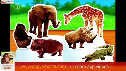 Zoo Animals ~ Touch, Look, Listen by StoryToys video review